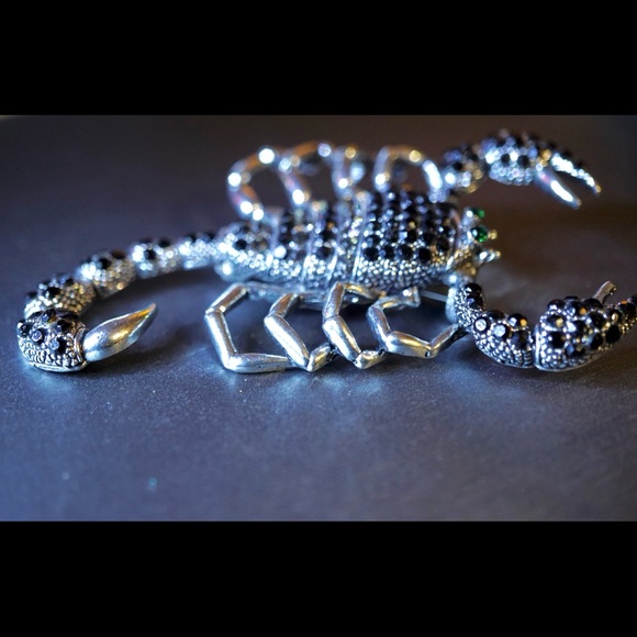 Rhinestone Scorpion Brooch/Pendant NWOT - Picture 4 of 7